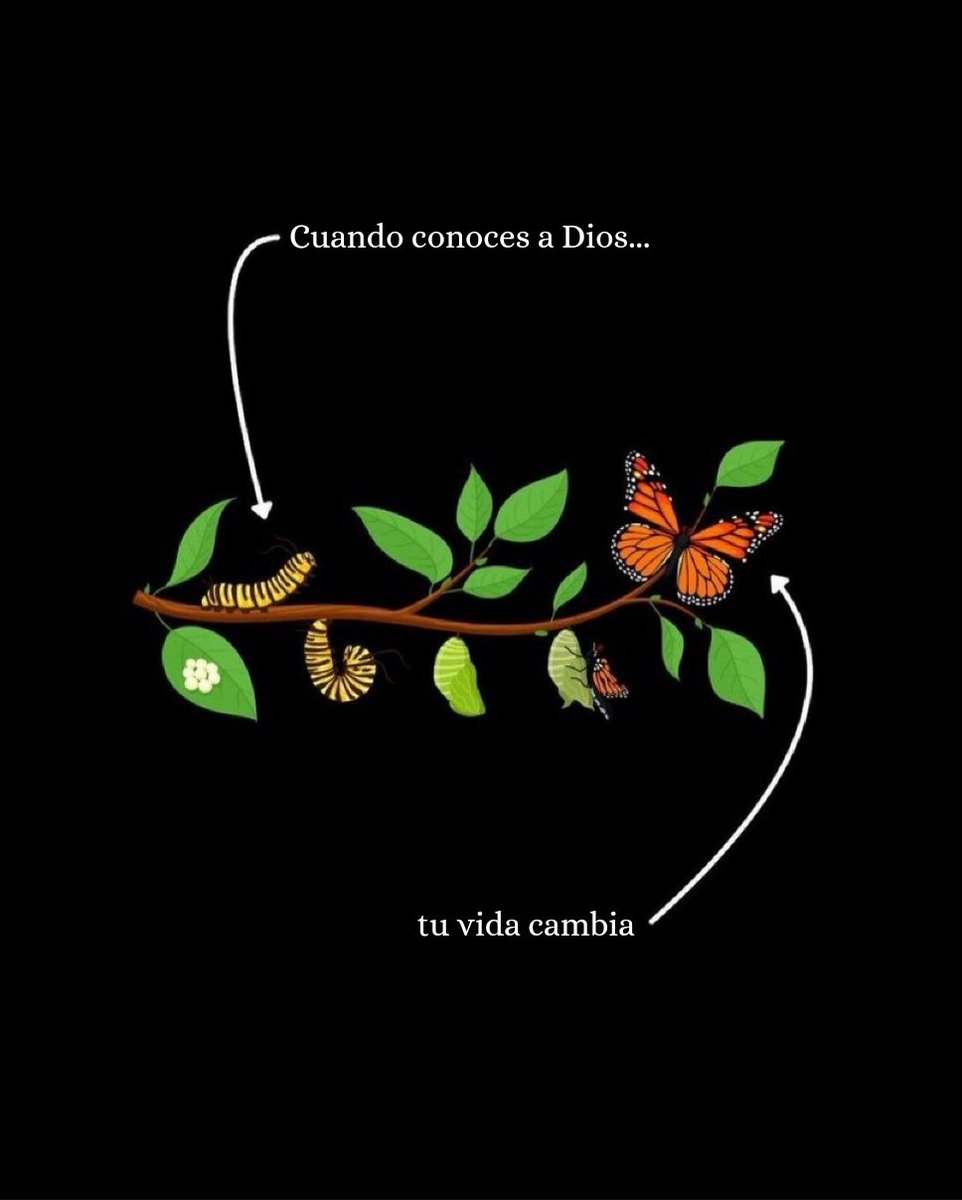 elsiervo__'s tweet photo. https://t.co/uJDmLQOEHJ