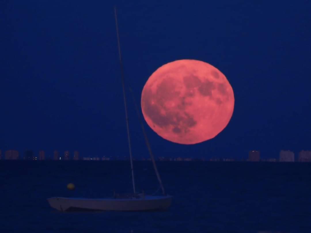 ¡Qué maravilla! Esta noche (19/08/2024), salida de La #Luna llena desde #LosAlcázares (#Murcia). Al fondo, #LaManga del #MarMenor. Al plenilunio de #agosto se le conoce como "Luna del Esturión o Azul". Además, es #Superluna al coincidir con su perigeo. Imágenes: Manolo Muñoz.