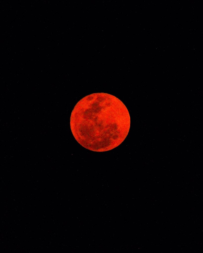 pamelaforst's tweet photo. E essa lua hoje? 😍😍🍊 https://t.co/WGIVI32wkK