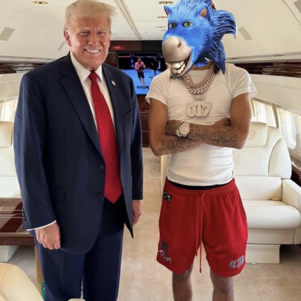 According to sources, Donald Trump is considering taking on Sonkeh as an advisor if elected 👀

Will update as new information comes