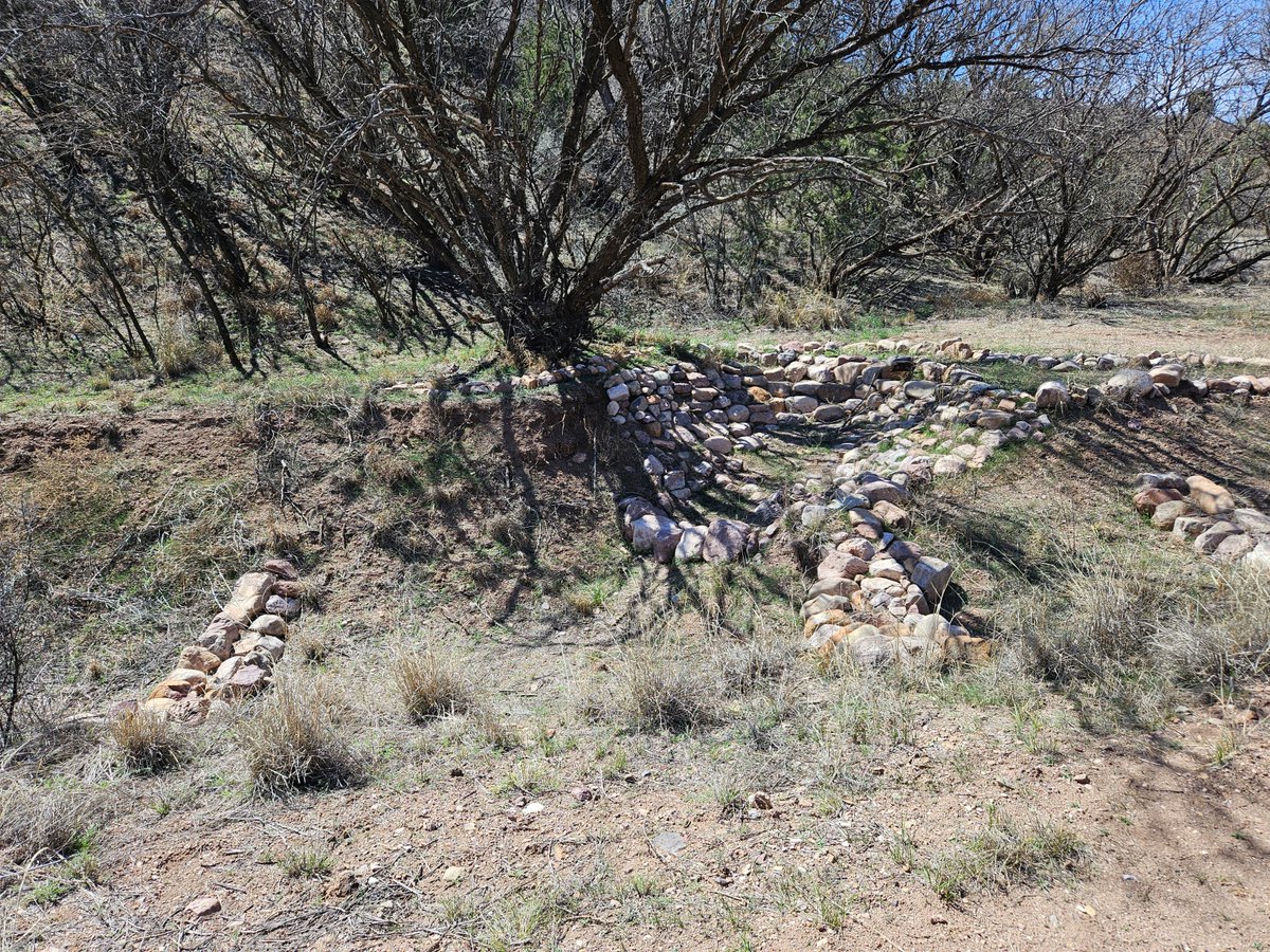 CoronadoNF's tweet photo. Southern Arizona Resource Advisory Committee Announces Final Selection for Secure Rural Schools Funding

News release available at:
https://t.co/drOX6eZWxN

3/13/24 Photo of Zuni Bowls in Patagonia. https://t.co/iKfbkzK1ox