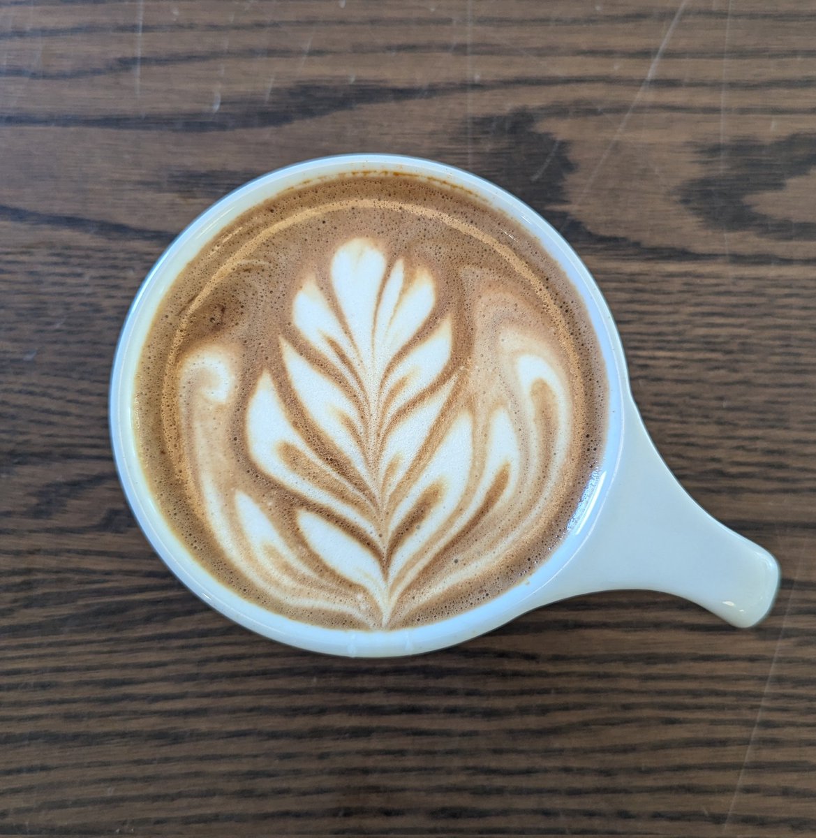 🦇 Riss 🦇 tweet media