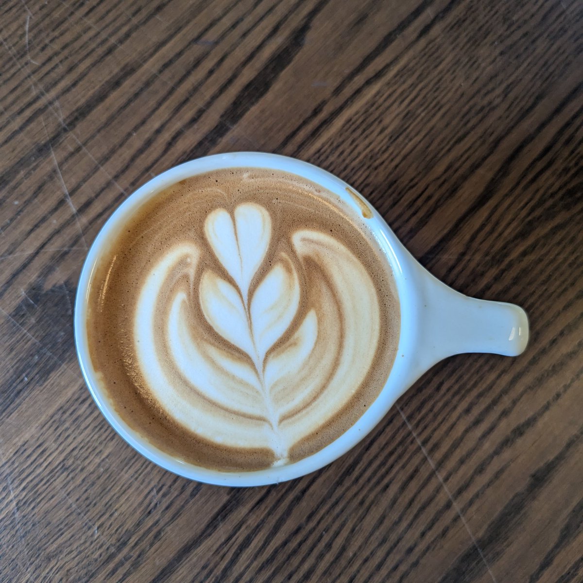 🦇 Riss 🦇 tweet media