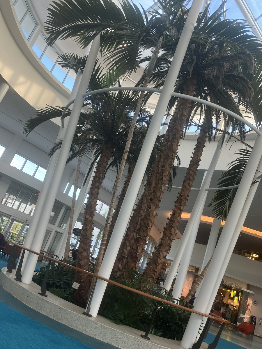 LadyBowman tweet media