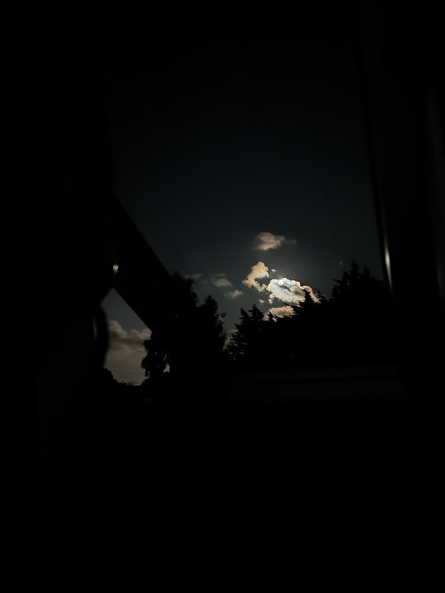 twilight vibes