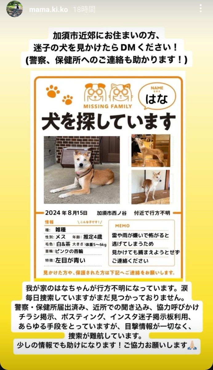 k.mgr(かじきまぐろ tweet media
