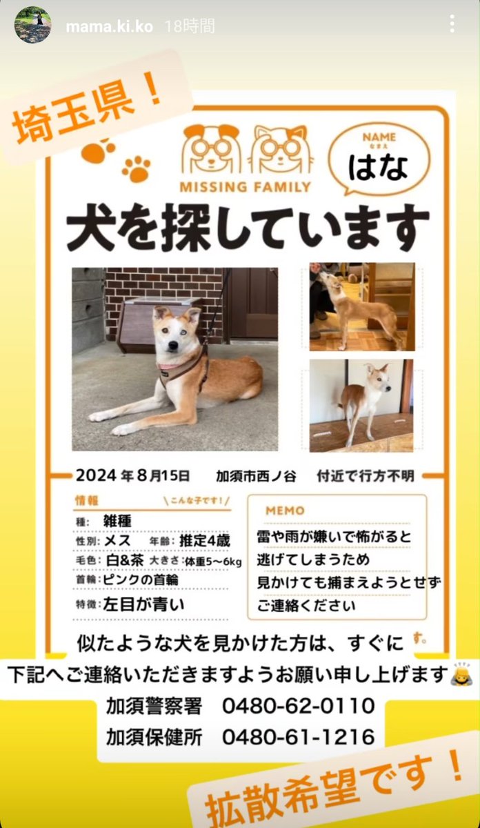 k.mgr(かじきまぐろ tweet media