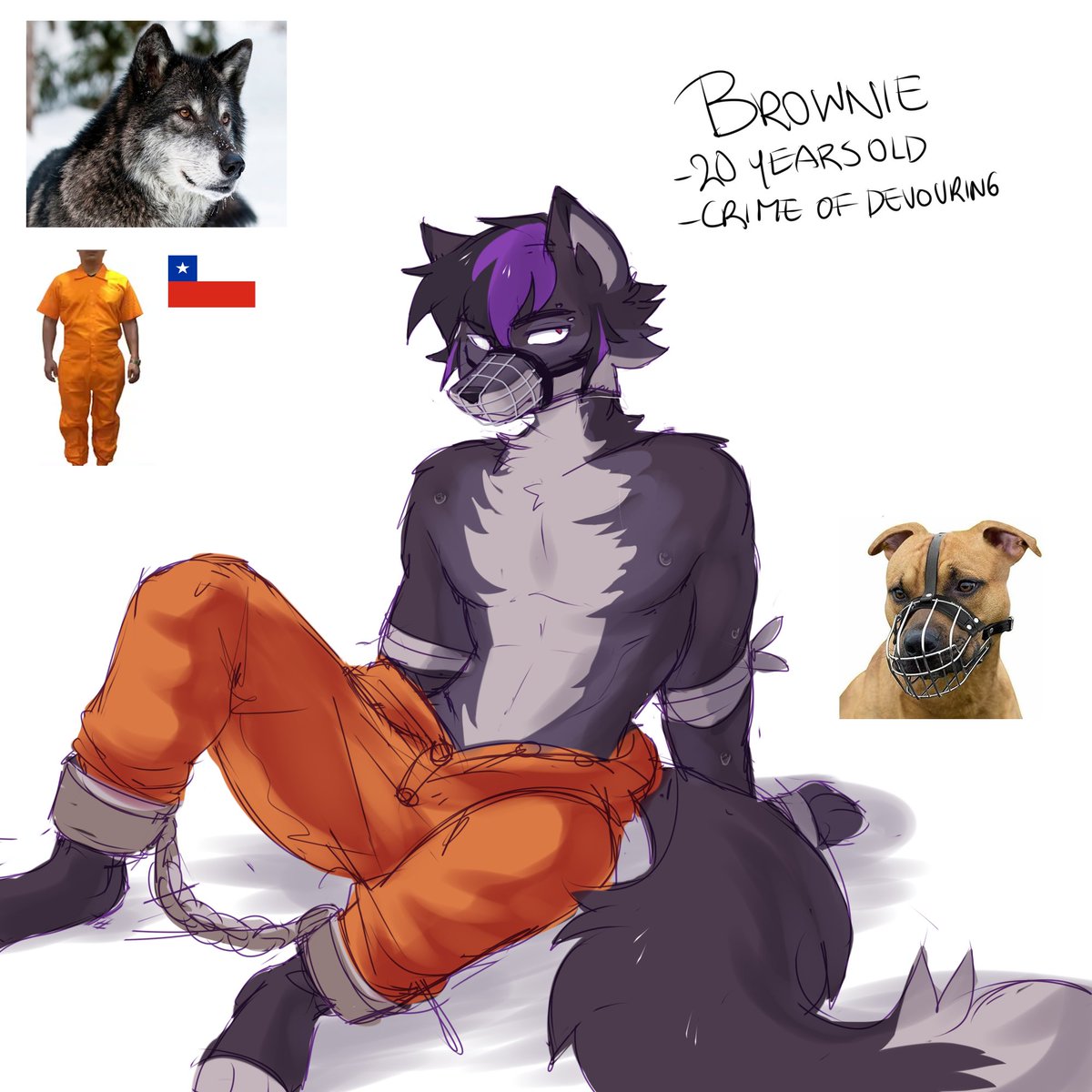 DylanRPancake's tweet photo. Brockwell (Brownie)
#furryprison #pancakeocs #furryart https://t.co/F6cxl0hrse