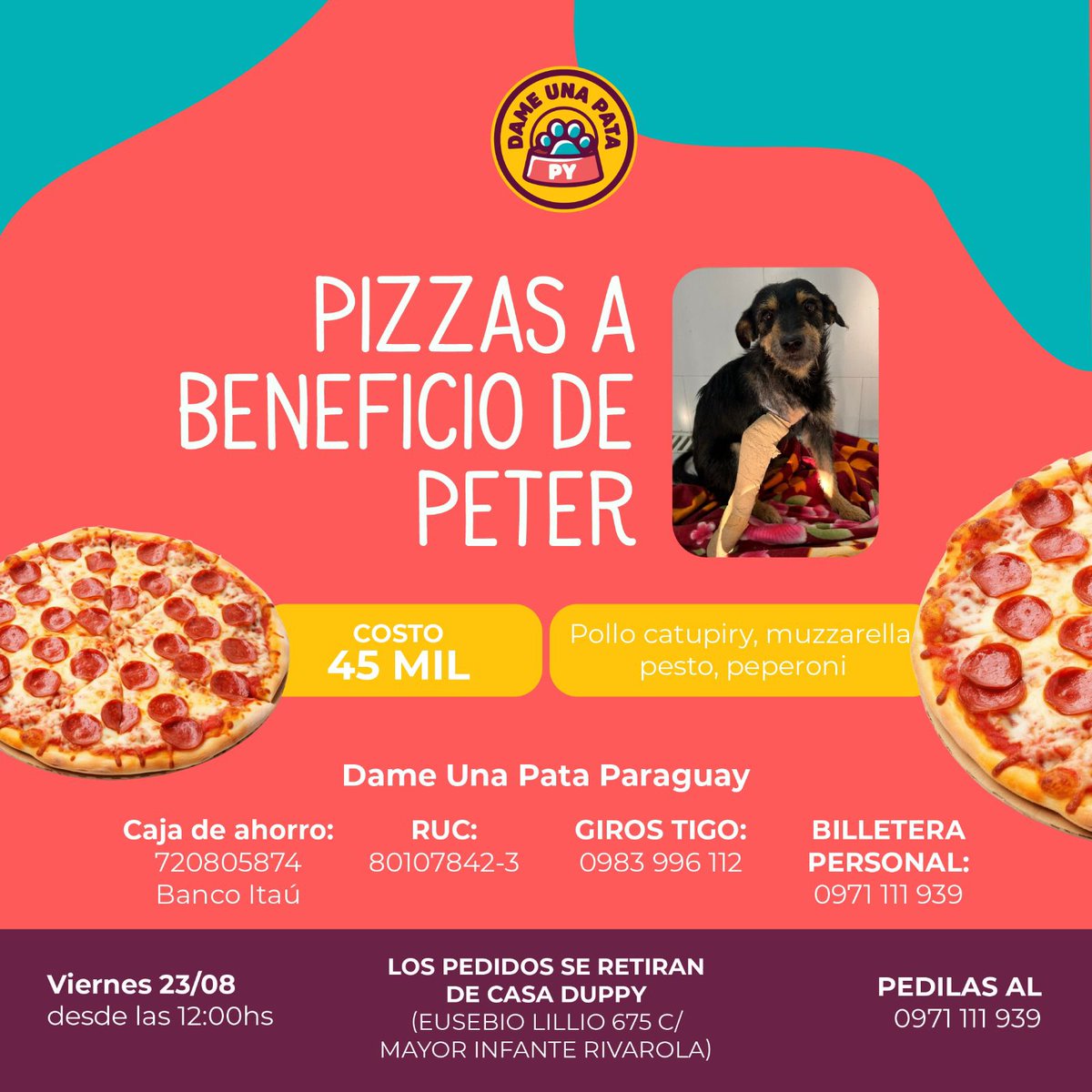 dameunapatapy's tweet photo. Logré operarme y ahora sigo de reposo en la vete y con tratamiento para la erlichia, afortunadamente no tengo leish, lo que hace que mi recuperación sea un poco más rápida y pueda ir a un hogar pronto 🙏🏼

Este Viernes 23/08 mis tías organizaron una pizzeada a mi beneficio, https://t.co/iRErFP3vf0
