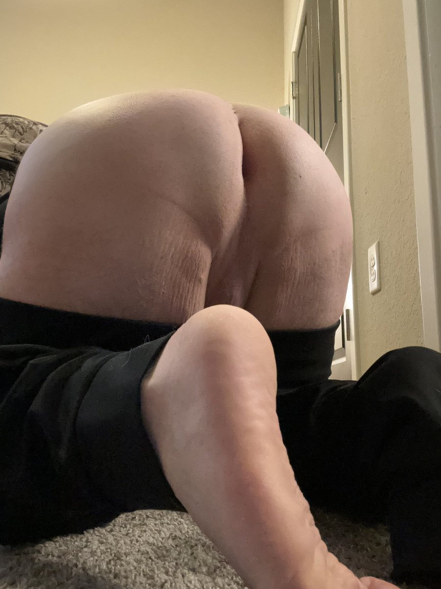 BatingBearBoy tweet media