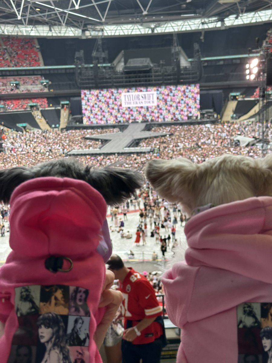 A swiftie pup’s perspective 🐶💗🇬🇧✨ #LondonTSTheErasTour #TSTheErasTour <a href="/taylornation13/">Taylor Nation</a>