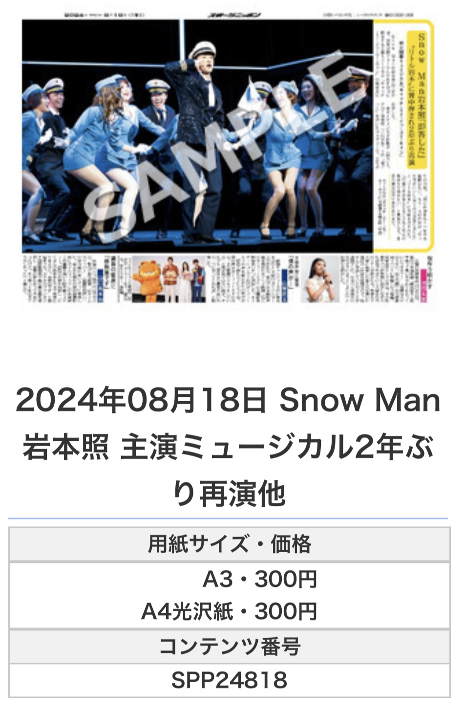 Snow Man - キャッチミーイフユーキャン フライヤー2枚セット