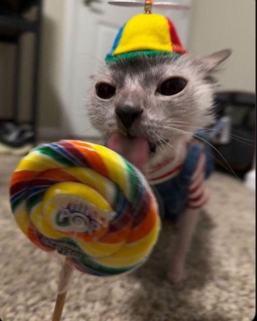 RepaerRevived tweet media