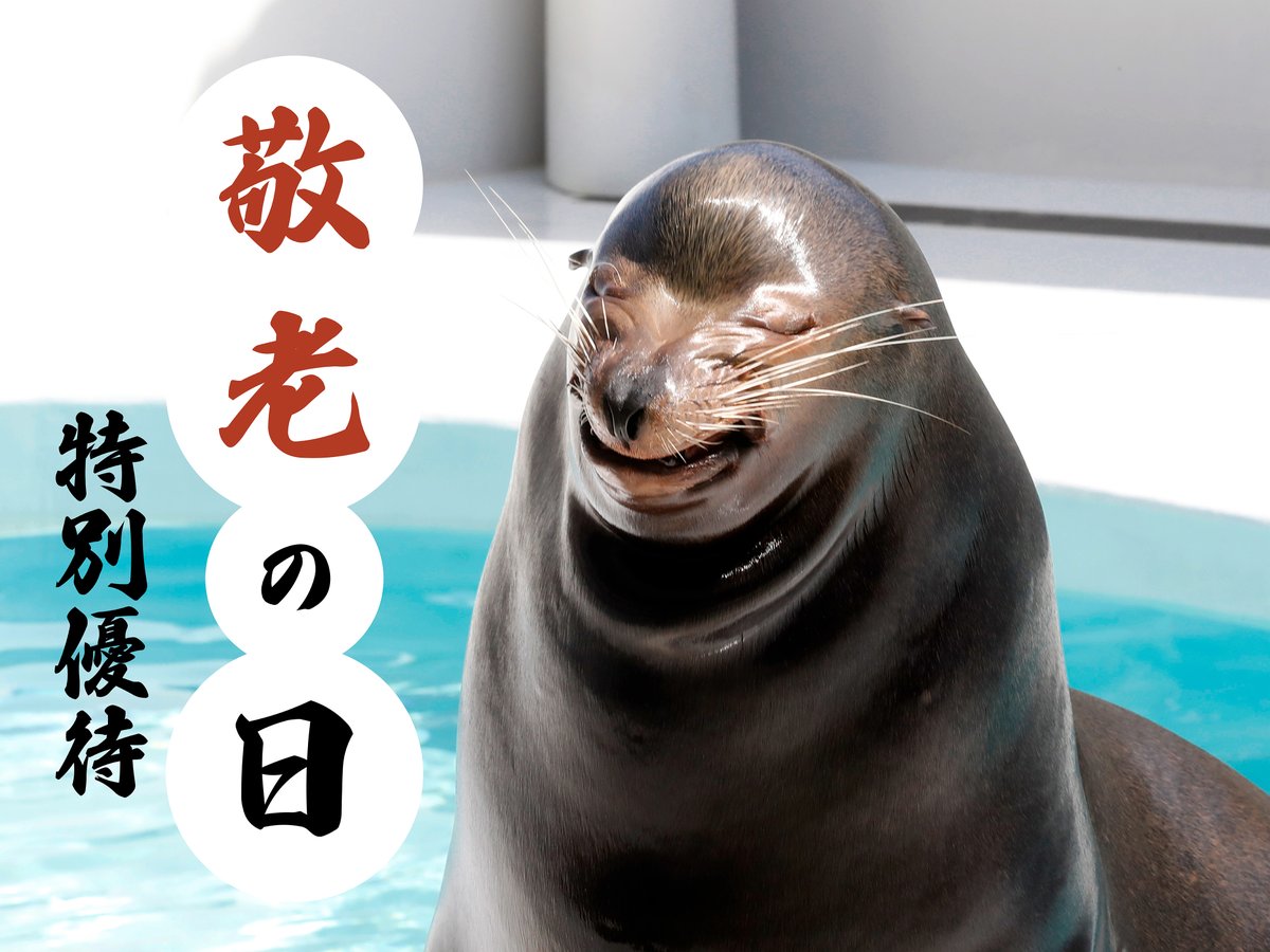 鴨川シーワールドでは「敬老の日」にちなみ、2024年9月14日(土)および9