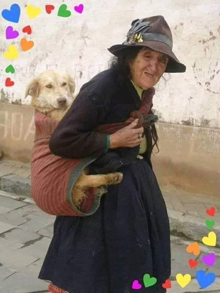 GRamirezF_D12's tweet photo. La imagen del Día.!
Una ancianita que ama a Firulais... 🐕
Se merece todos los ❤️ del Mundo. 🐶🐾😘🐾🕊️💞💖❤️ https://t.co/2MU3HVYJwq