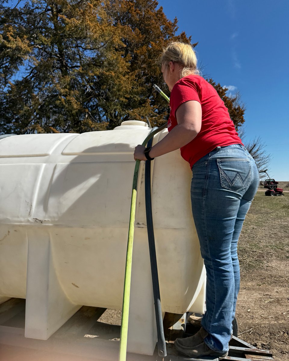 FemaleRancher's tweet photo. Time to fill up the water tank! 💧🚜 What are you up to right now? 🤔 #FarmLife #WateringTime #FarmChores #StayHydrated #FarmFun #FarmersLife #BackyardBarnyard #DailyDuties #CountryLiving #FarmFresh #HomesteadLife #FarmDays #FarmFam #FarmTasks https://t.co/bhC5OwIdfU