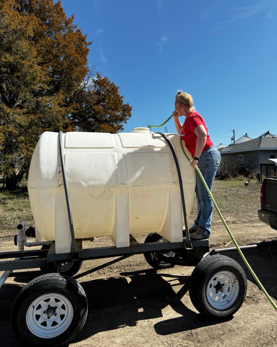 FemaleRancher's tweet photo. Time to fill up the water tank! 💧🚜 What are you up to right now? 🤔 #FarmLife #WateringTime #FarmChores #StayHydrated #FarmFun #FarmersLife #BackyardBarnyard #DailyDuties #CountryLiving #FarmFresh #HomesteadLife #FarmDays #FarmFam #FarmTasks https://t.co/bhC5OwIdfU