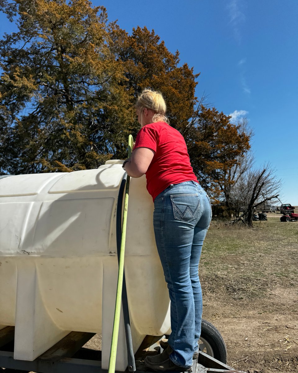 FemaleRancher's tweet photo. Time to fill up the water tank! 💧🚜 What are you up to right now? 🤔 #FarmLife #WateringTime #FarmChores #StayHydrated #FarmFun #FarmersLife #BackyardBarnyard #DailyDuties #CountryLiving #FarmFresh #HomesteadLife #FarmDays #FarmFam #FarmTasks https://t.co/bhC5OwIdfU
