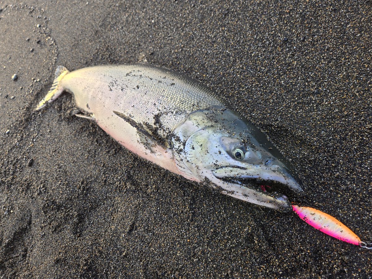 SUGARCRAFT (@SUGARCRAFT_LURE) / Posts / X