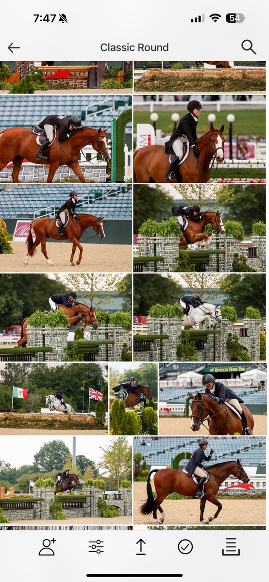 Terisé 🐴👩🏼💻📸 tweet media
