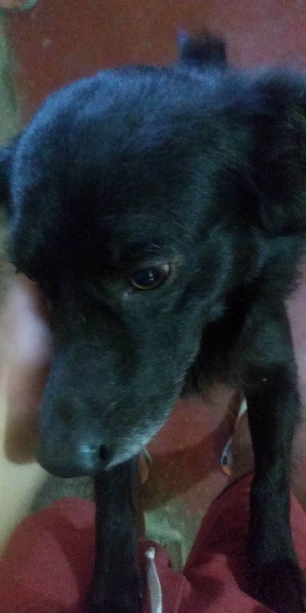 l3aandr0's tweet photo. O amor é paciente, o amor é bondoso. Não inveja, não se vangloria, não se orgulha.Não maltrata, não procura seus interesses, não se ira facilmente, não guarda rancor.O amor não se alegra com a injustiça, mas se alegra com a verdade.Tudo sofre, tudo crê,tudo espera,tudo suporta. https://t.co/EzZ7I1vWeb