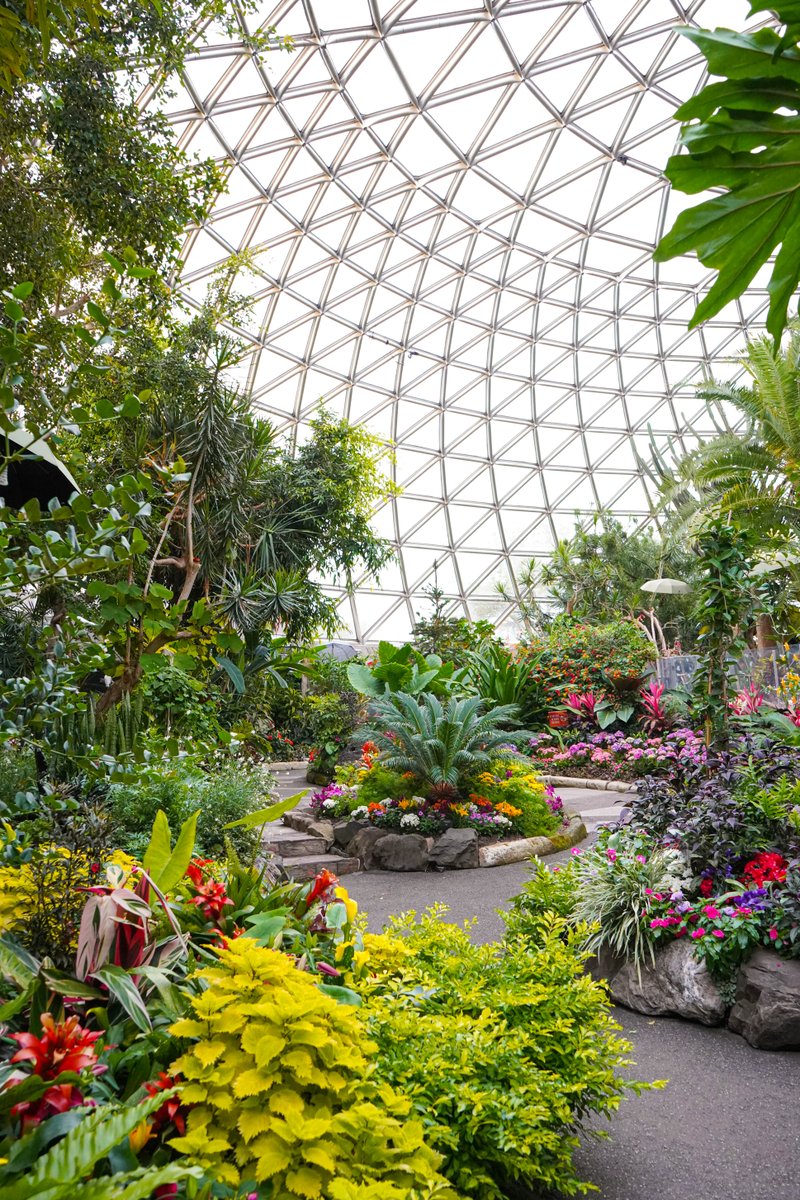 BloedelConserv's tweet photo. A power outage has been scheduled for AUG 26 in QE Park. Bloedel will remain OPEN, with cooling units installed
Impacts:
🎫 No onsite ticket sales – book online
💧 Waterfall off
🚽 Washrooms operational but dimly lit
📞Phone lines unavailable
🧃 No merch, ice cream or drink sales https://t.co/WZ6OSrOGya