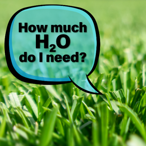 UTRWD's tweet photo. Our lawns are #TexasTough! Watering less will make your lawn stronger. Thereโs never a need to water more than 2x a week, and your lawn will be able to tough it out through the hottest Texas heat. Sign up for free, weekly watering advice at https://t.co/0PUHOvxHyD. #WaterLessYall https://t.co/xOO1m83pau