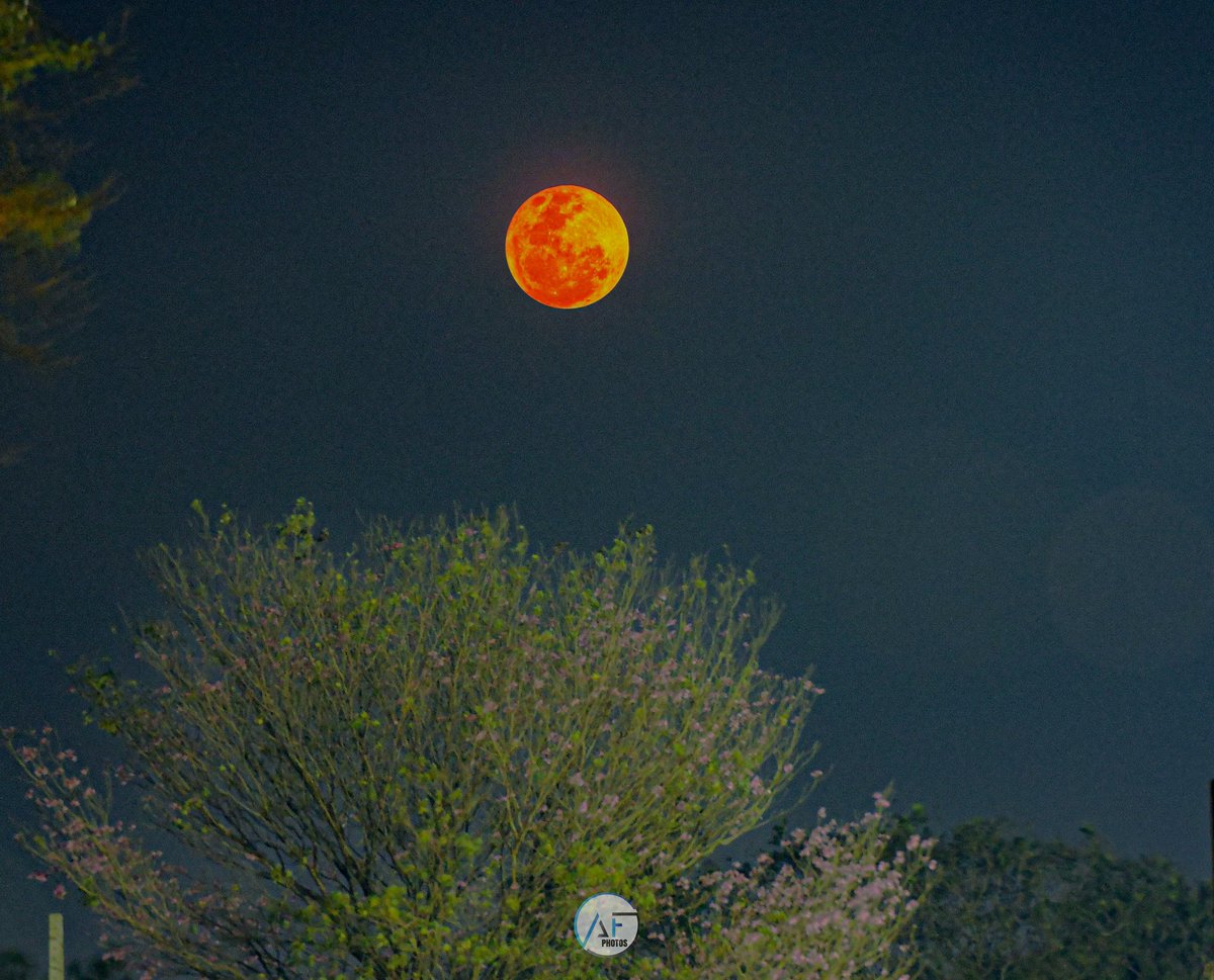 AnthonyPaez595's tweet photo. #Hoy | Así se ve la Super Luna desde Villeta. 😍🇵🇾🌕
Foto de Alán Fernández https://t.co/papAwEIGKa