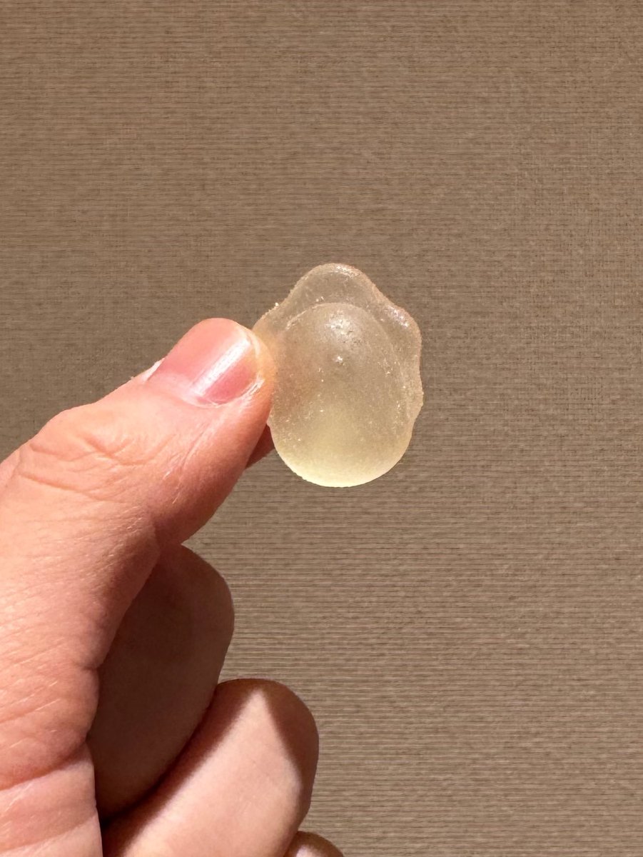 ㅋㅋㅋㅋ나 귤젤리 라는 줄 알았는데 굴젤리였다니ㅜㅋㅋㅋㅋㅋㅋ 01년생 남자가 왤케 코여워