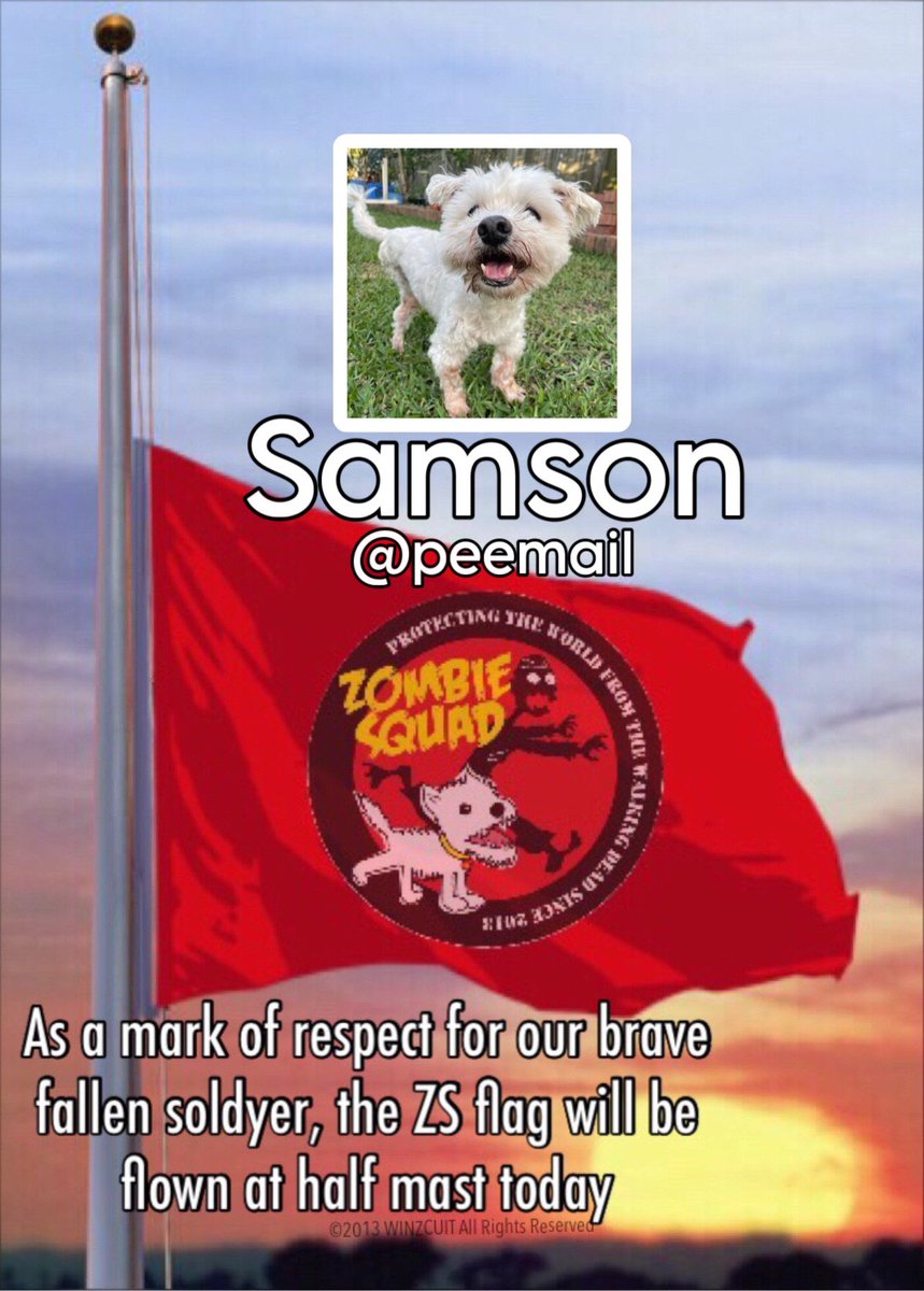 ZombieSquadHQ💖💚🧡💚🩵© (@zombiesquadhq) on Twitter photo Samson was an original (OG) ZS member - he created the ZS Science Division & his inventions saved many a squaddie from zom attacks. His remarkable strength of spirit was inspiring to all of us - it’s time to rest dear friend. Toby & Bobby are waiting for you🌈 <a href="/peemail/">Samson & Fursibz</a> #ZSHQ Samson was an original (OG) ZS member - he created the ZS Science Division & his inventions saved many a squaddie from zom attacks. His remarkable strength of spirit was inspiring to all of us - it’s time to rest dear friend. Toby & Bobby are waiting for you🌈 <a href="/peemail/">Samson & Fursibz</a> #ZSHQ