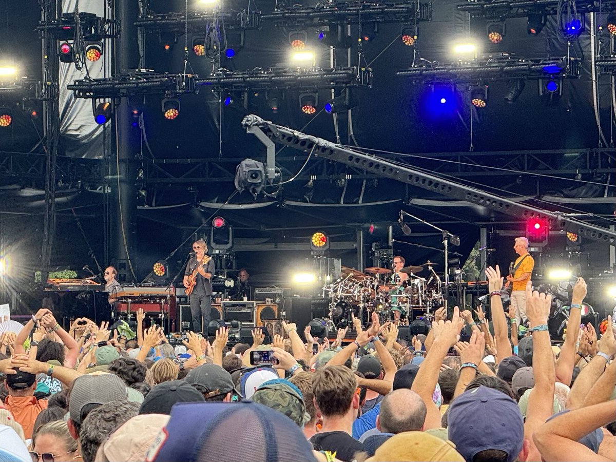 Wombat_Mätt ✭ tweet media