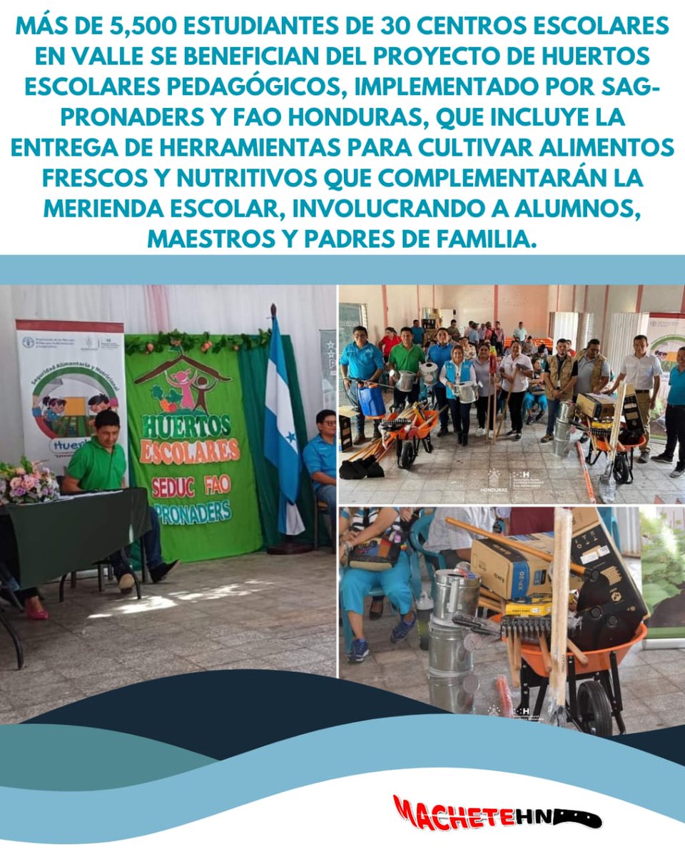 machetehn2009's tweet image. Más de 5 mil 500 estudiantes de 30 centros escolares de Valle se ven beneficiados con la implementación de proyecto de #HuertosEscolaresPedagógicos gracias a #SAG_PRONADERS y la #FAOHonduras .