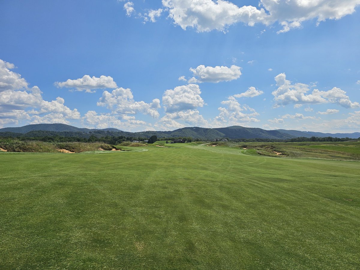 Matt McAteer tweet media