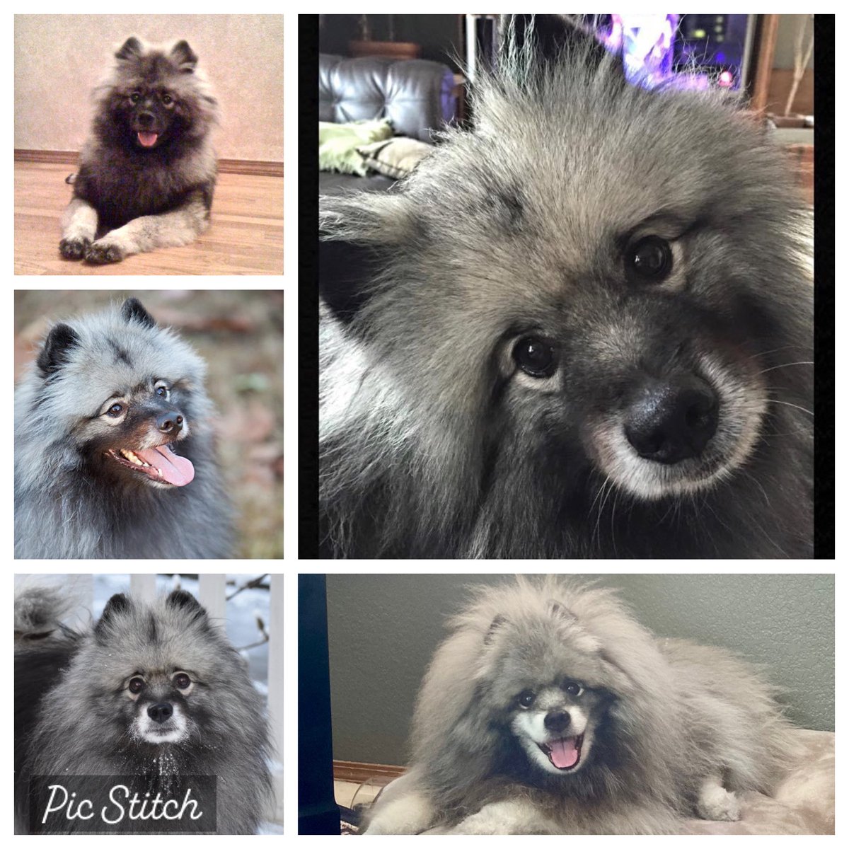 We said goodbye today to our precious, Mieke. She was the greatest gift and treasure and had the most indomitable spirit. Our hearts are broken and we already miss her, but we are forever, ever grateful. 💔 💔💔