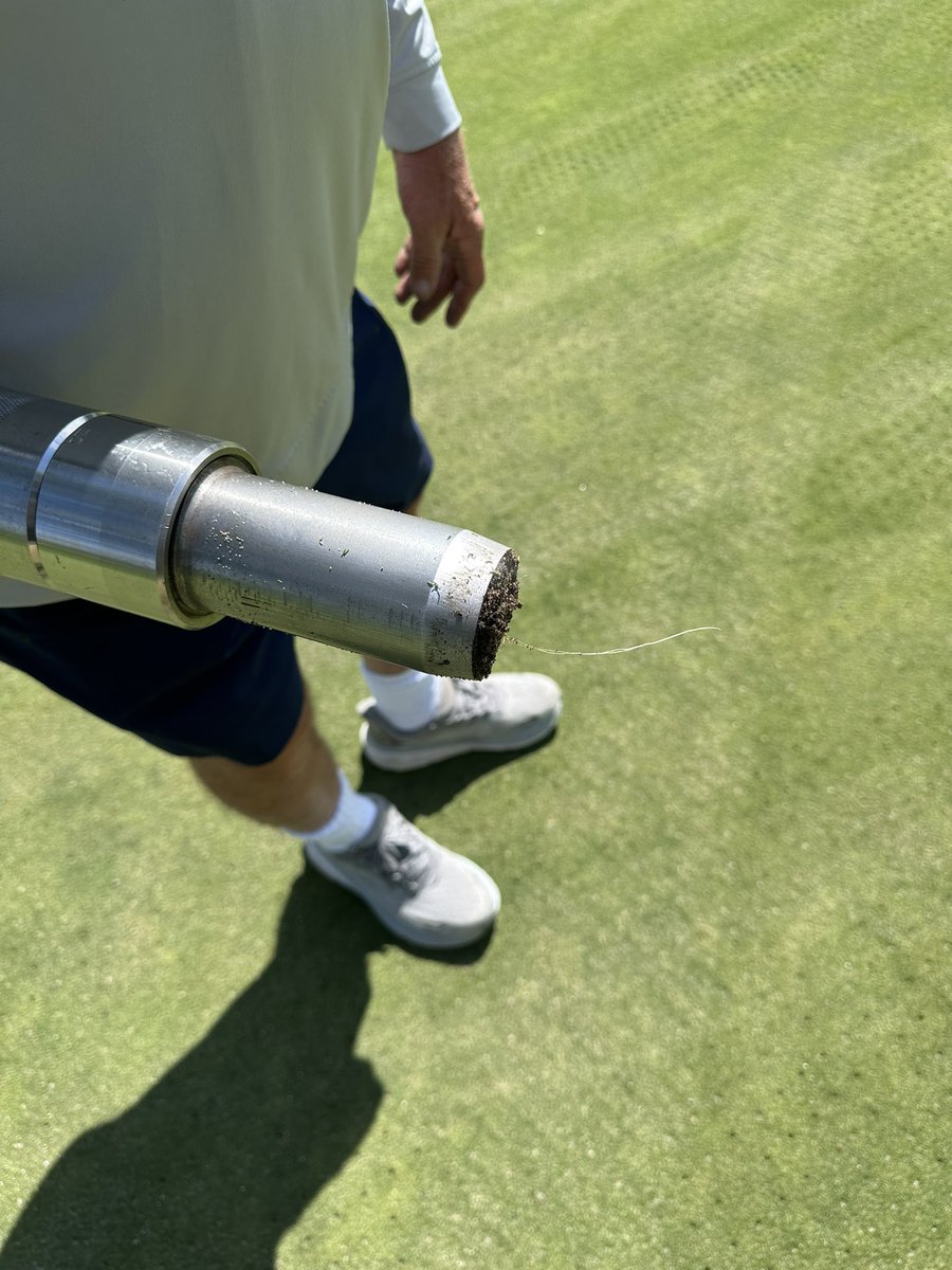 Sam Moynihan tweet media