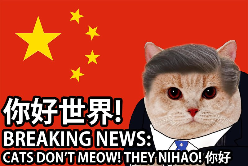 $NIHAO 🇨🇳