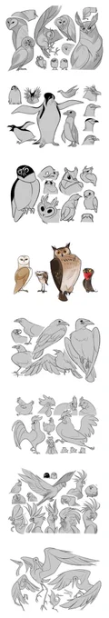 Animals sketches (2) 