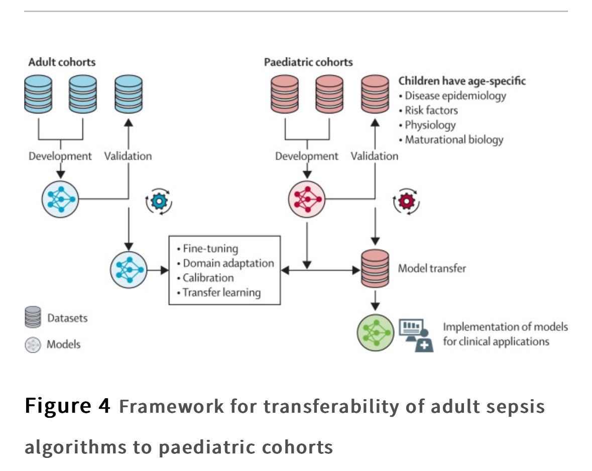 Vanessa S. Lanziotti (@vslanziotti) on Twitter photo Digitisation of health care is promising for transforming management of peds #sepsis
❇️ digital tech solutions in peds sepsis
❇️ Data-driven phenotyping approaches & validation
❇️ AI model transferability approaches
Congrats <a href="/nelsonSpinto/">L. Nelson Sanchez-Pinto, MD, MBI</a> et al!
thelancet.com/journals/landi…
#PedsICU Digitisation of health care is promising for transforming management of peds #sepsis
❇️ digital tech solutions in peds sepsis
❇️ Data-driven phenotyping approaches & validation
❇️ AI model transferability approaches
Congrats <a href="/nelsonSpinto/">L. Nelson Sanchez-Pinto, MD, MBI</a> et al!
thelancet.com/journals/landi…
#PedsICU
