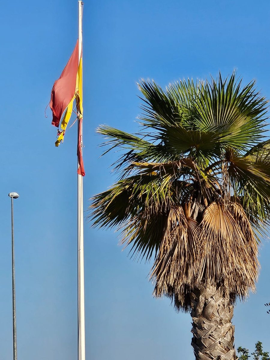 A_SanchezColl's tweet image. Dolor de verla Así. Corvera (MURCIA)