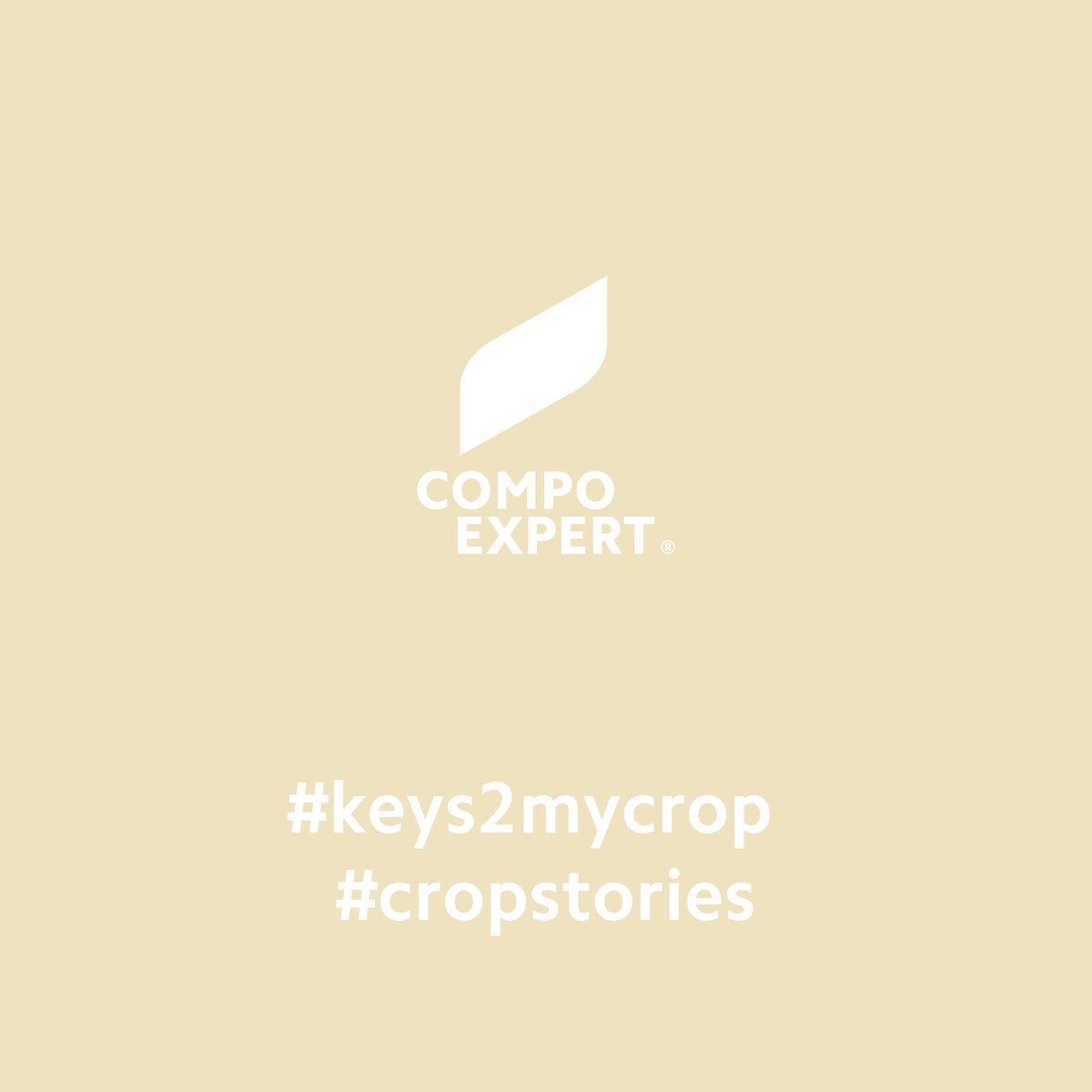 COMPOEXPERT_GR's tweet photo. Today, we turn our attention to watermelon. Watermelon cultivation in our country dates back to antiquity, with the first references coming from the time of the ancient Greeks.🍉
#compoexpert #cropstories #keys2mycrop #watermelon #agriculture #farming #LOGIC #expertsforgrowth https://t.co/nbZyJAqUUz