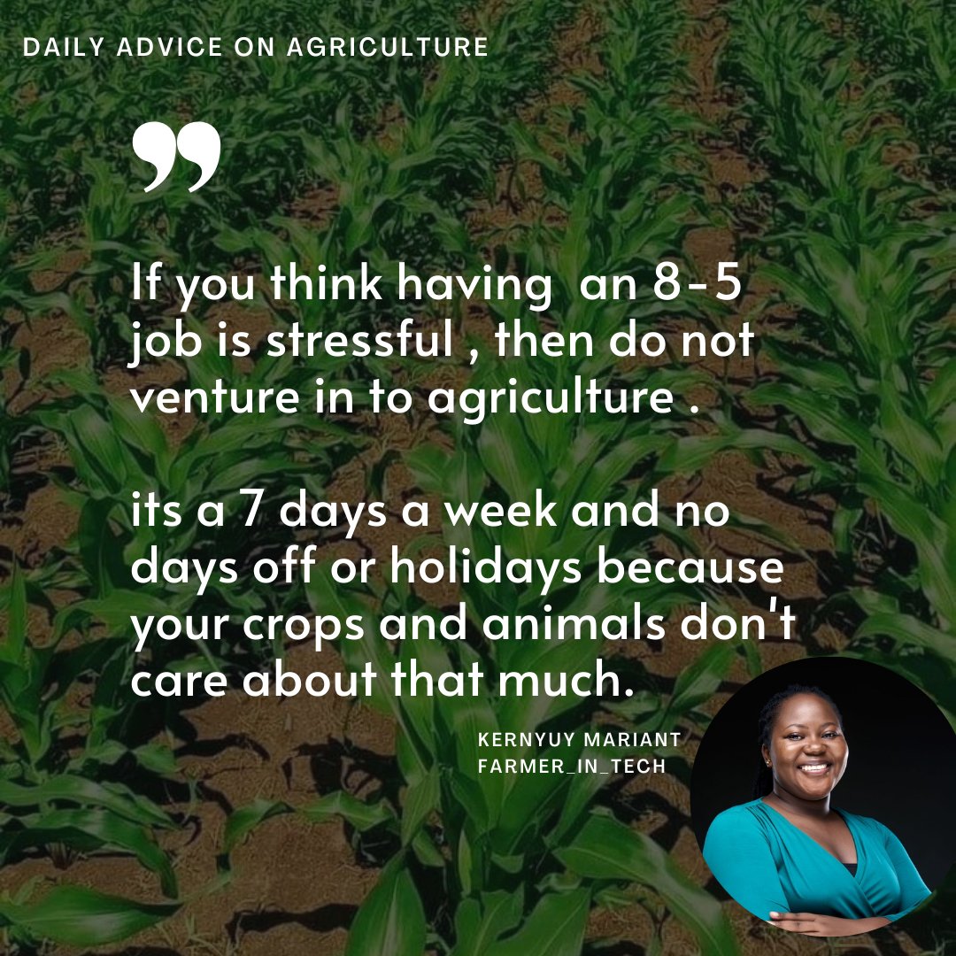 #dailyagricadvice 

Respect Farmers. 
without Farmers you won't be alive. and even if you could create food  in the lab , you  would still need a farmer to provide you  with food to consume and have the energy to do the research. .