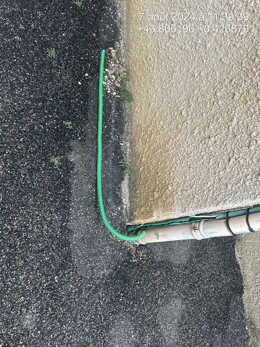 ⭐️NosArtisansOntDuTalent ⭐️ tweet media