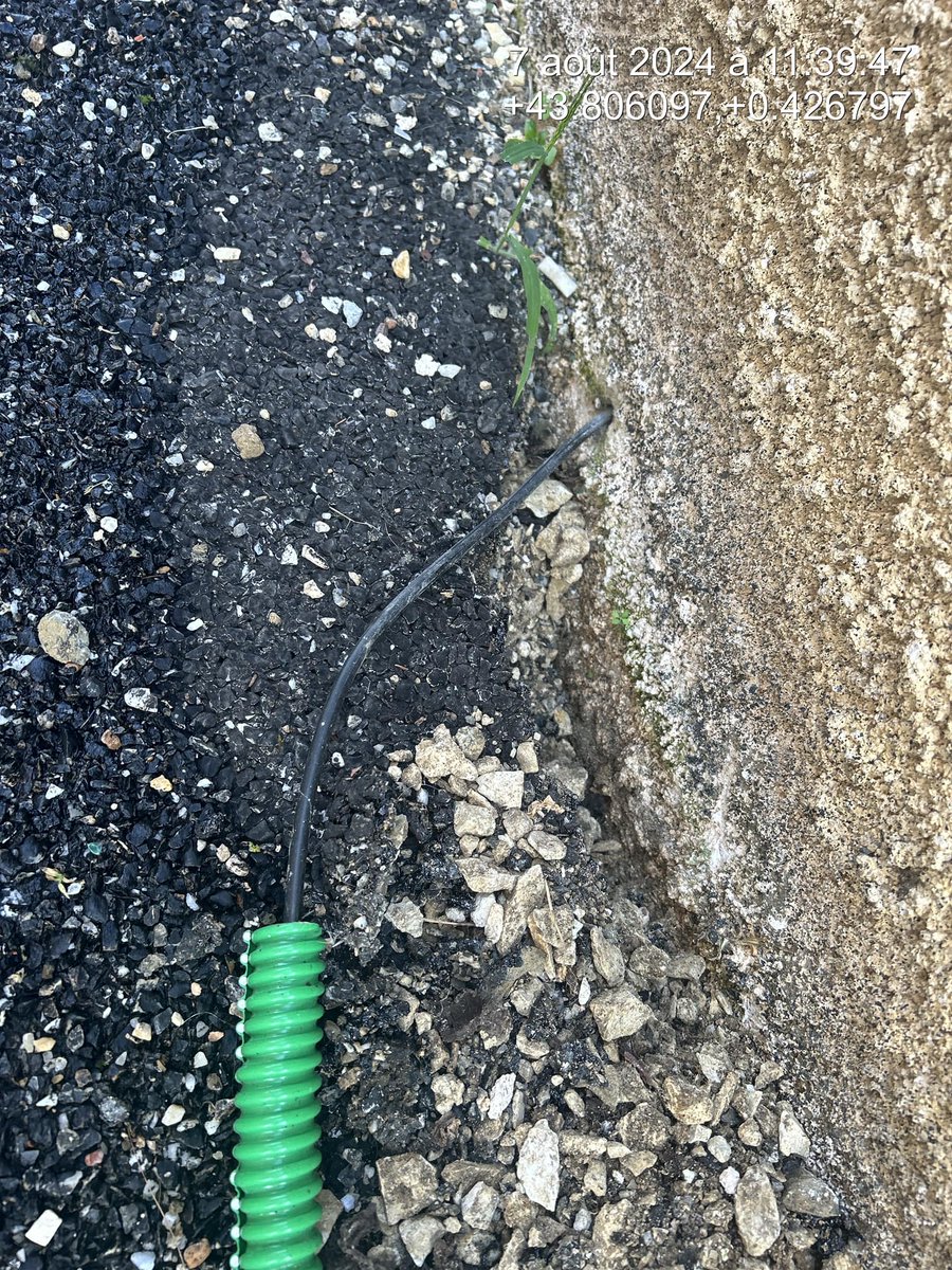 ⭐️NosArtisansOntDuTalent ⭐️ tweet media