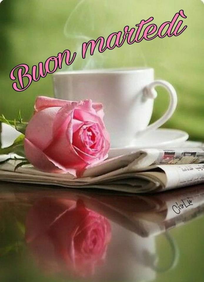 RITABIANCHi56 tweet media