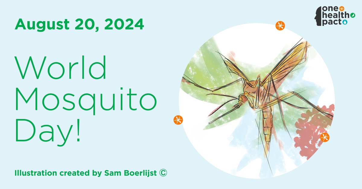 🦟Today is #WorldMosquitoDay! What do you know about mosquitoes?

With our research, we aim to understand mosquito-borne diseases and how their spread is affected by environmental and social changes. Learn more: onehealthpact.org

Illustration by: Sam Boerlijst

#onehealth