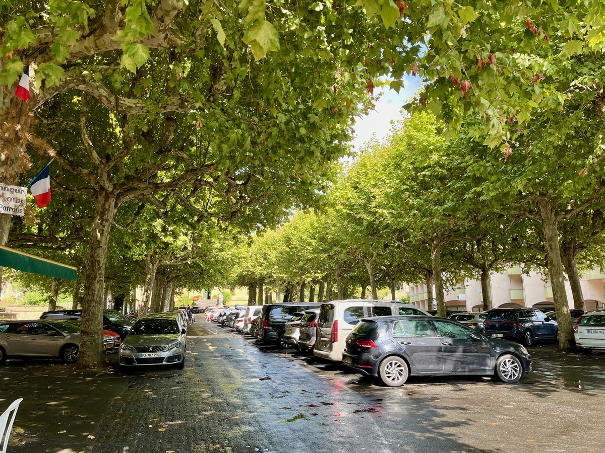 Trees for Streets tweet media