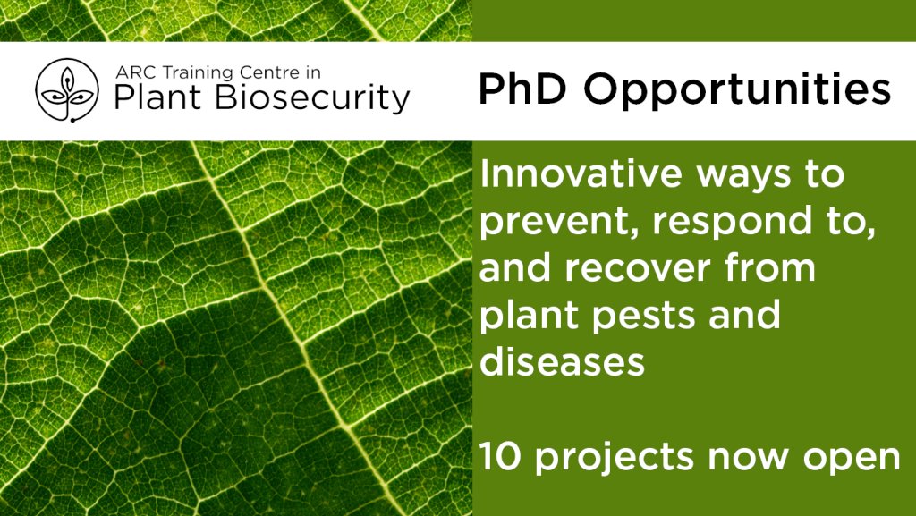 10 PhD projects available in the new ARC Training Centre in Plant Biosecurity <a href="/ARC_PBTC/">PBTC</a>. Recieve a $40,000 p/y tax-free scholarship and work with academic, government, and industry partners. Open to Australian and international students. EOIs due 30 September 2024.