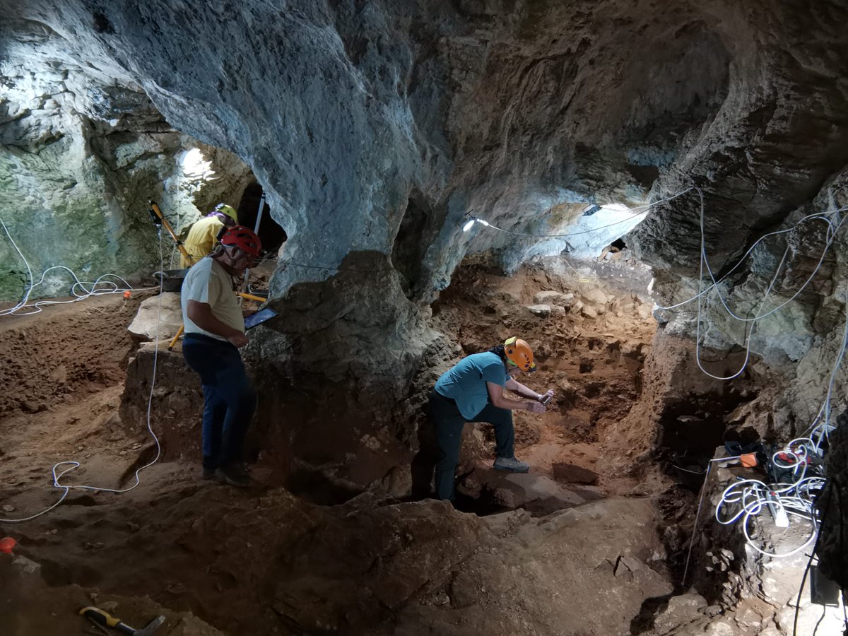 CENIEH-Geología y Geocronología (@cenieh_geo2) on Twitter photo Un placer trabajar con el grupo del @proyecto_ocupap en el estudio de la Cueva Allende (Palencia) financiado por la <a href="/FundacionPalarq/">Fundación Palarq</a> <a href="/CENIEH/">CENIEH</a> <a href="/CENIEH_Labs/">CENIEH Labs</a> #ICTSNews Un placer trabajar con el grupo del @proyecto_ocupap en el estudio de la Cueva Allende (Palencia) financiado por la <a href="/FundacionPalarq/">Fundación Palarq</a> <a href="/CENIEH/">CENIEH</a> <a href="/CENIEH_Labs/">CENIEH Labs</a> #ICTSNews