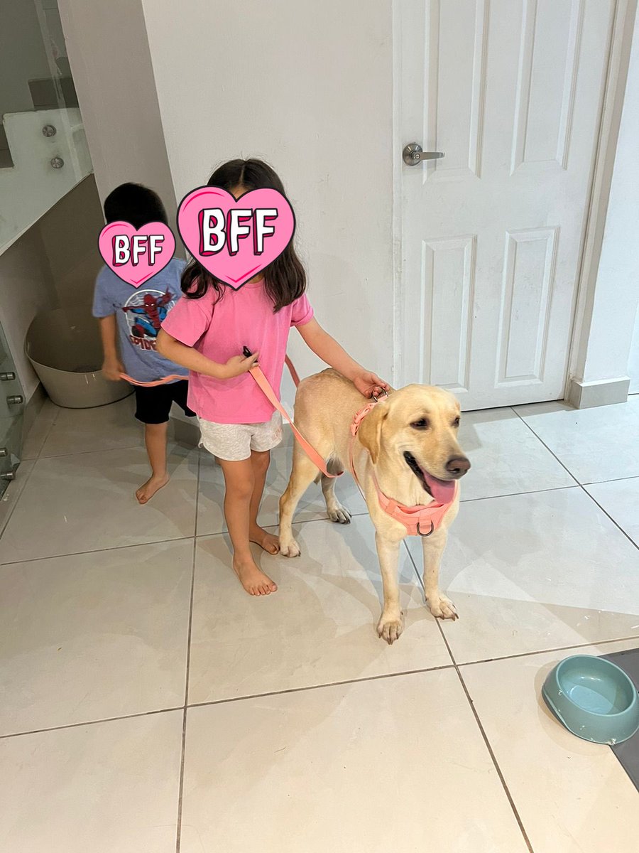 MelisaGuerrero4's tweet photo. Solo me queda decir, GRACIAS MILA, cambiaste mi vida ❤️‍🩹 gracias a las personas que te dieron una segurnda oportunidad de vida 🤍 te amaré siempre con toda mi alma 🐾🤍 MILA EN SU PROCESO DE ADOPCIÓN!! @FundacionToby @HELA_MORE https://t.co/2x3y1cbfc5