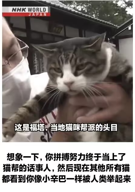 YunJiu's tweet photo. 纳税人：？ https://t.co/uPO1Ng7nmA